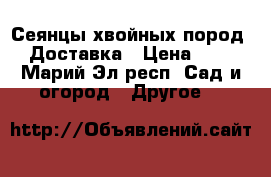 Сеянцы хвойных пород. Доставка › Цена ­ 1 - Марий Эл респ. Сад и огород » Другое   